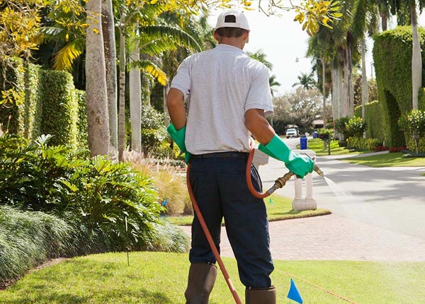 About Ortonville MI Pest Control